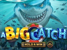 A Big Catch game thumbnail
